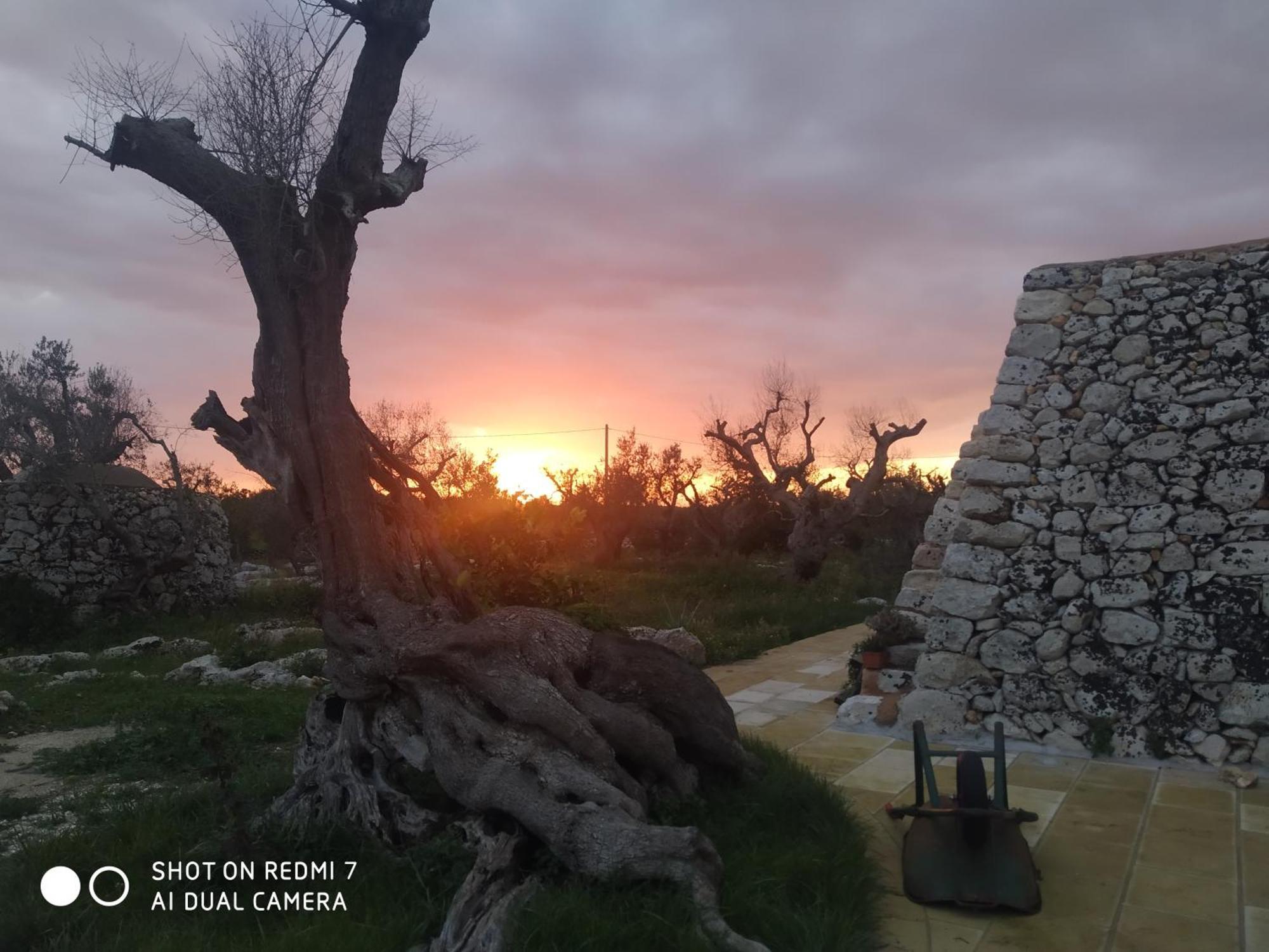 Ferienwohnung La Nicchia-Trullo Corigliano dʼOtranto Exterior foto